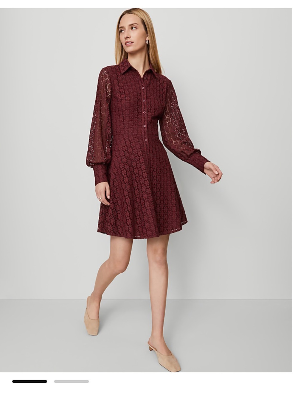 NWT Ann Taylor Lace Flare Shirtdress